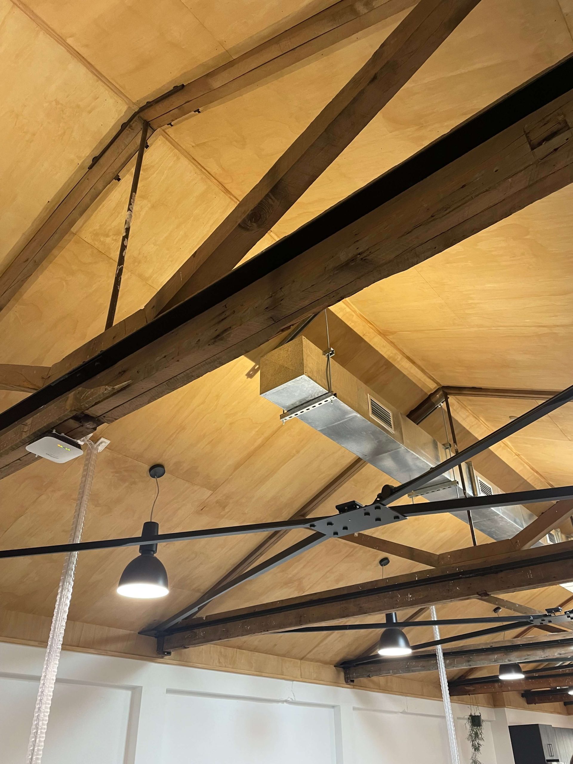 Exposed trusses in The Building Intelligence Group Napier office